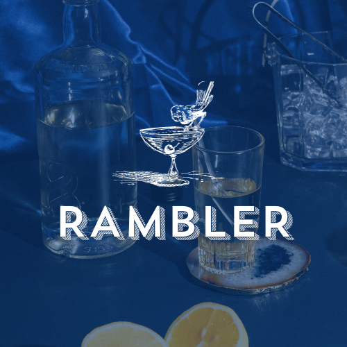 Flaunt Media Heels Agency Brand for Sale Rambler Bar Designer Demi Karan ed-it.co